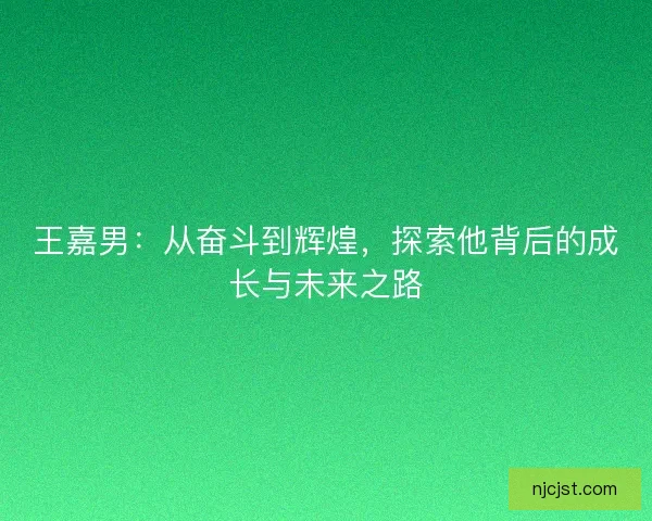 王嘉男：从奋斗到辉煌，探索他背后的成长与未来之路
