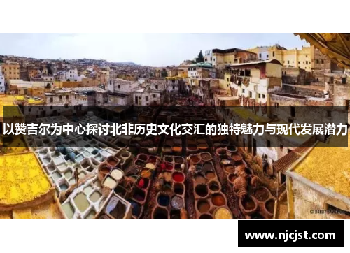 以赞吉尔为中心探讨北非历史文化交汇的独特魅力与现代发展潜力